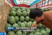 黑料吃瓜网apk普通安装 