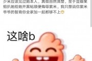 偷车大盗 